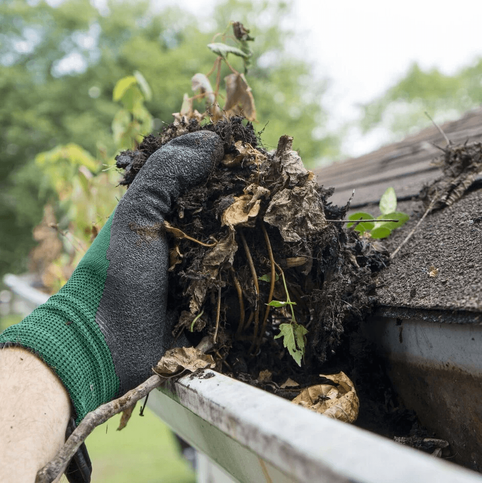 Gloved hand clearing leaves and debris from a home gutter